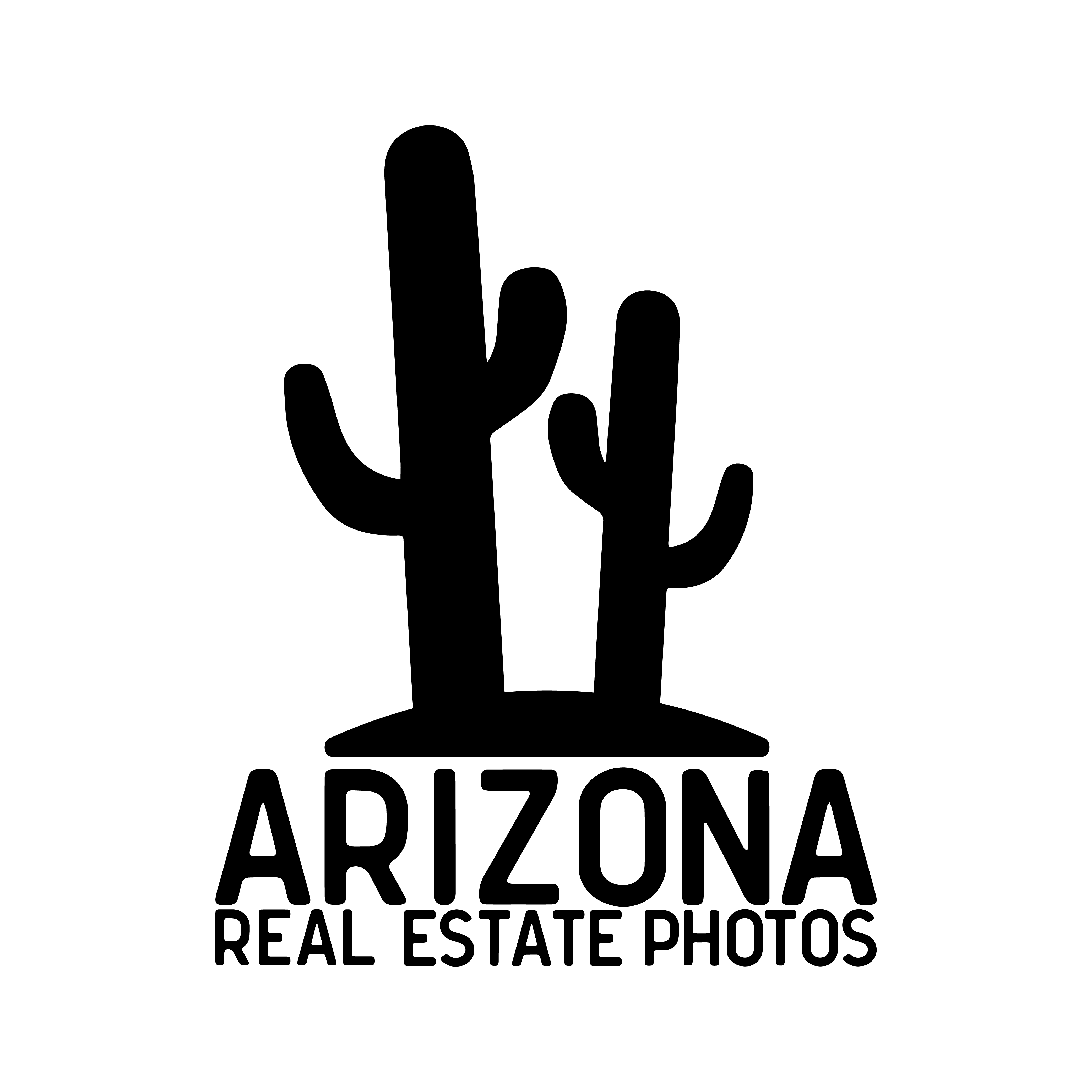 Arizona Real Estate Photos logo